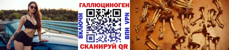 Псилоцибиновые грибы GOLDEN TEACHER  Купить  Навашино 